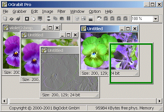 OGrabit Pro Screenshot